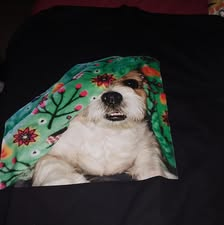 B********* review photo 2