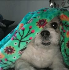 B********* review photo 1