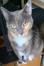 T****** review photo 1